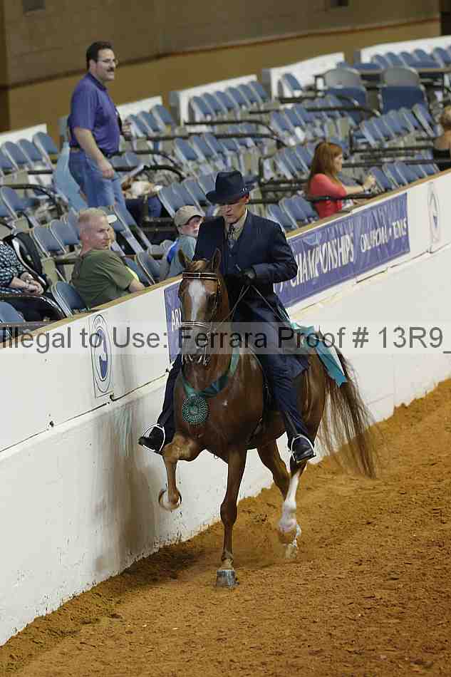 Proof 13r9_4356