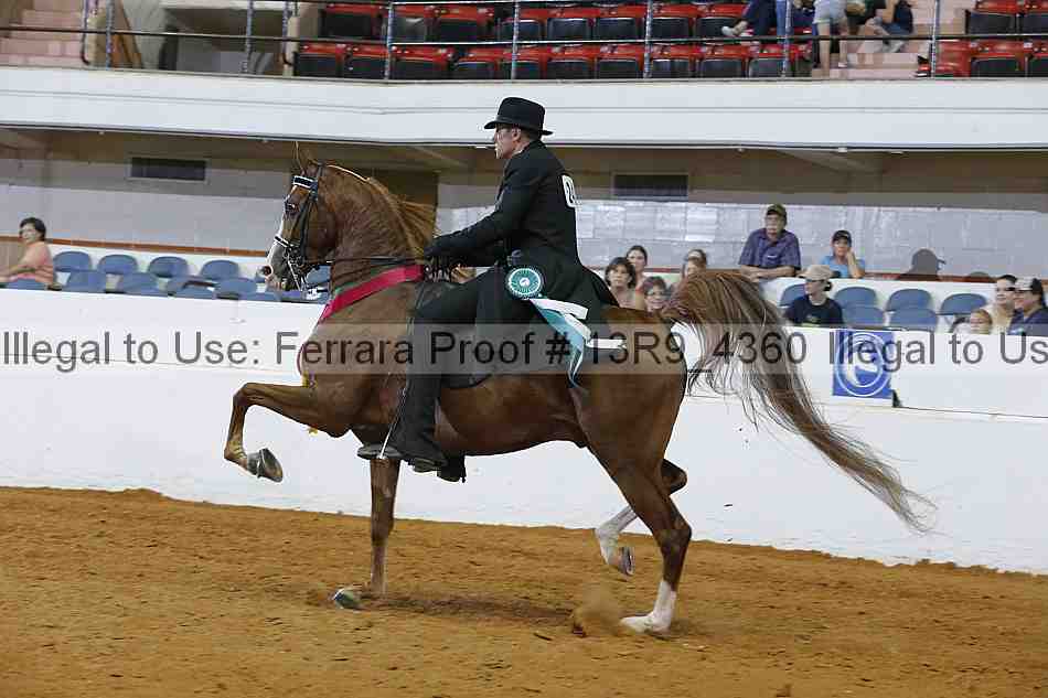 Proof 13r9_4360
