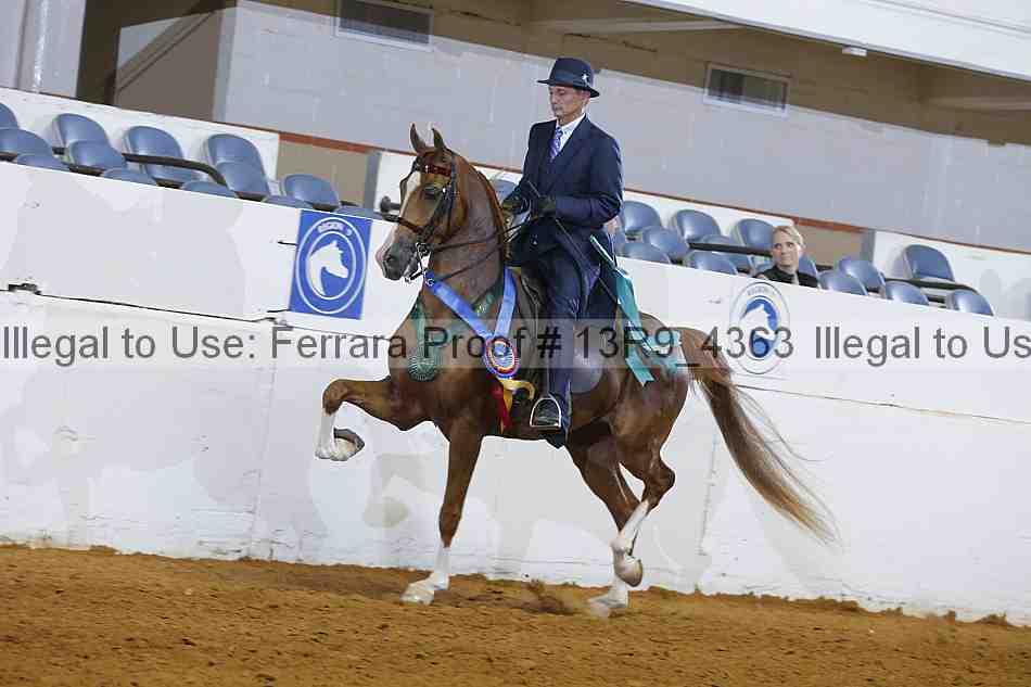 Proof 13r9_4363