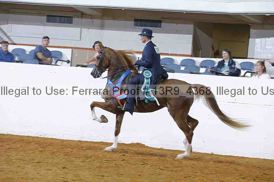 Proof 13r9_4368