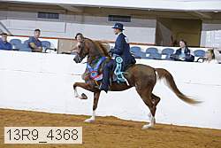 13r9_4368 proof