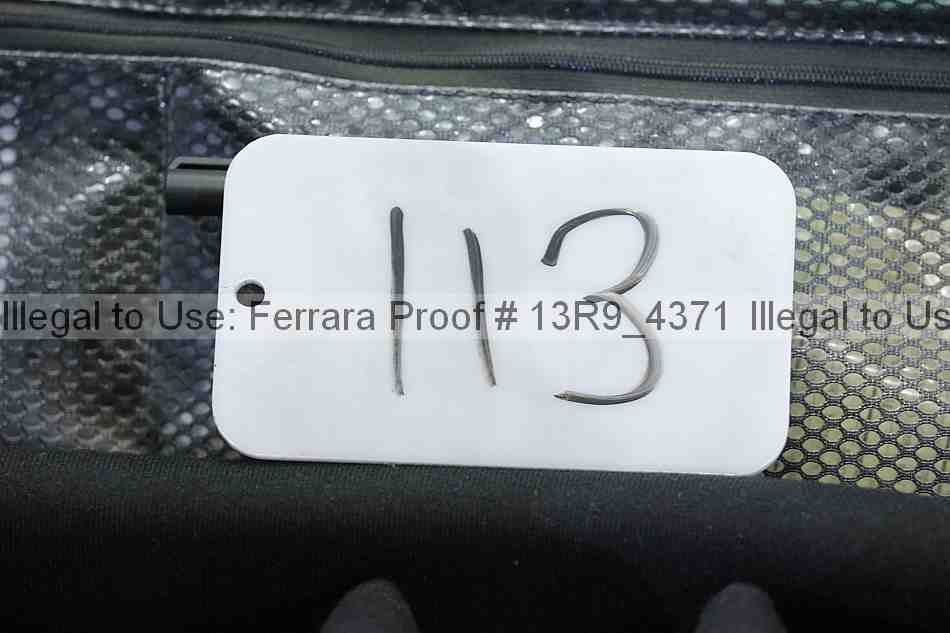 Proof 13r9_4371
