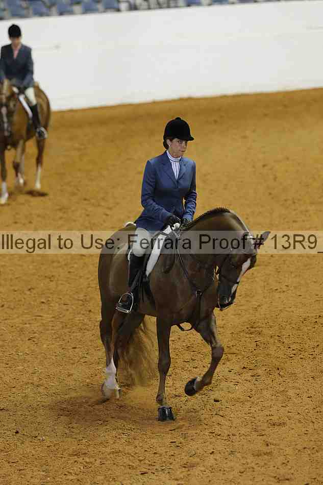 Proof 13r9_4378