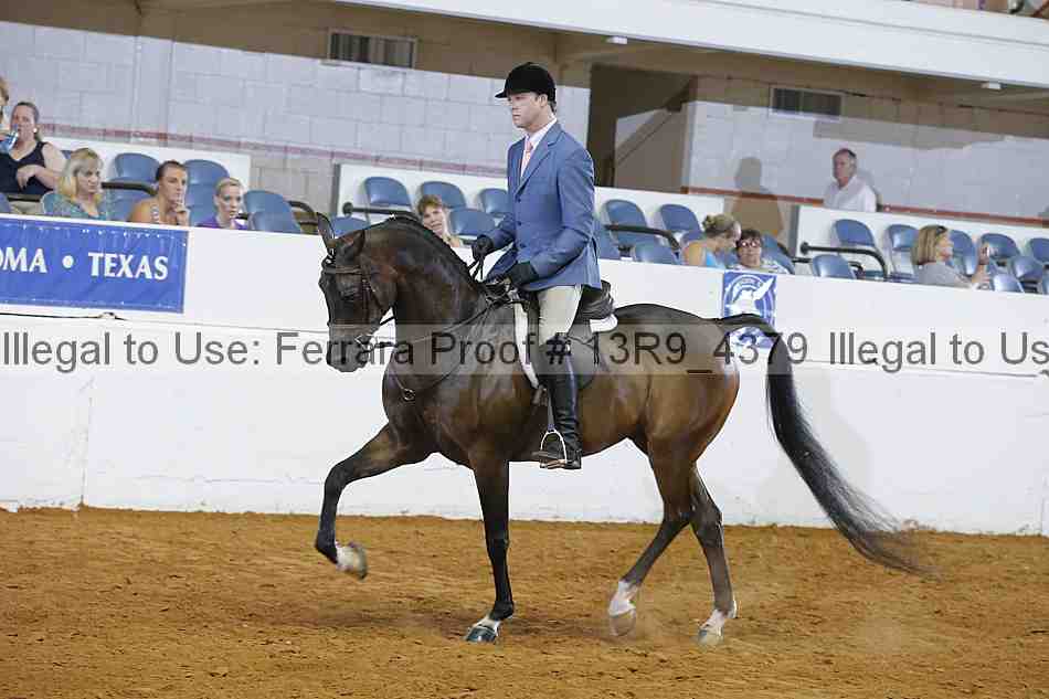 Proof 13r9_4379