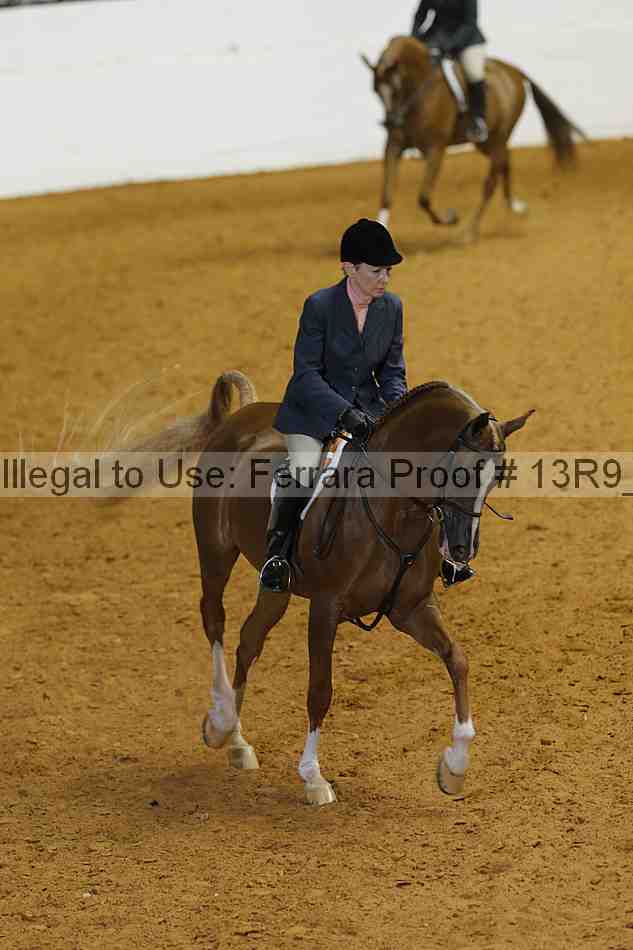 Proof 13r9_4381