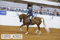 13r9_4382 proof