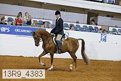 13r9_4383 proof