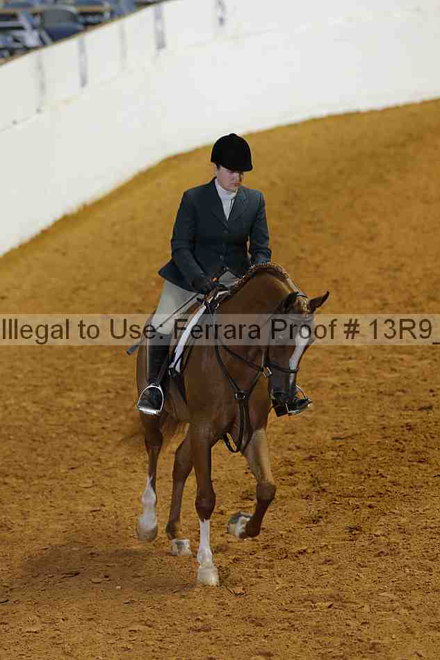 Proof 13r9_4384