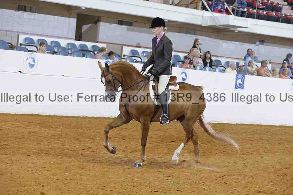 Proof 13r9_4386