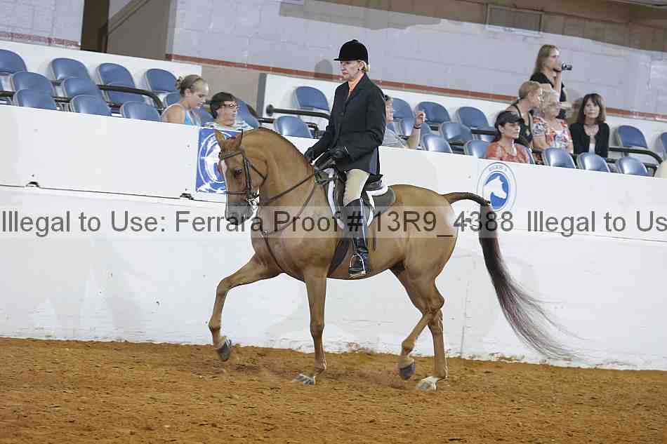 Proof 13r9_4388