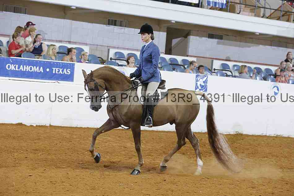 Proof 13r9_4391