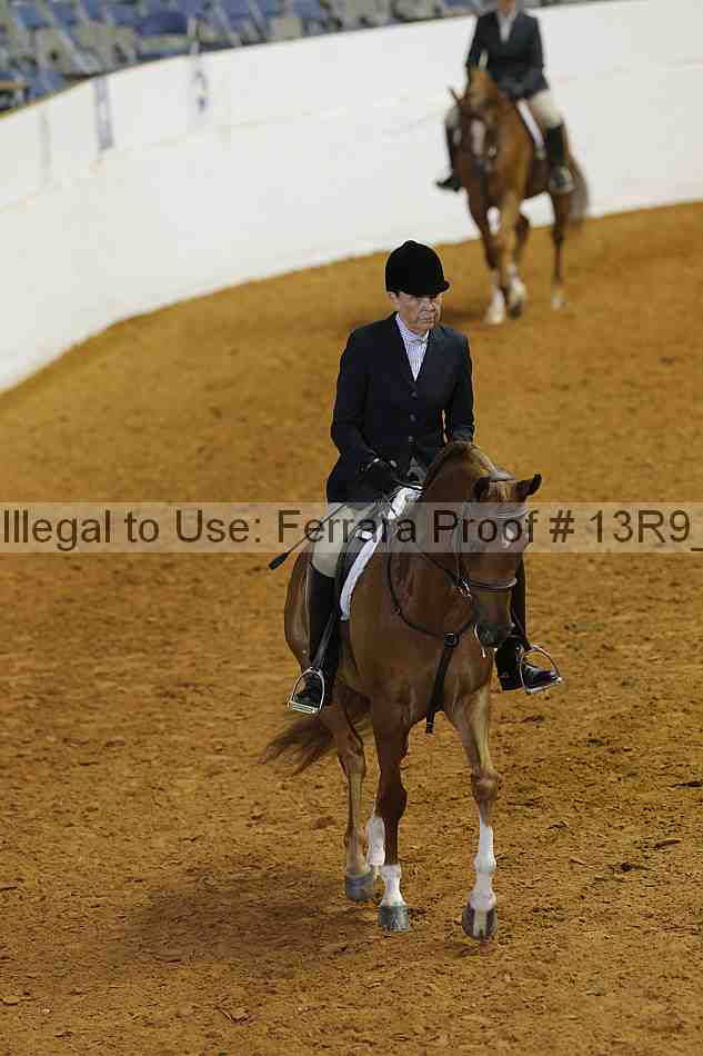 Proof 13r9_4393