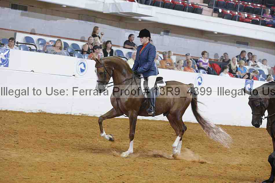 Proof 13r9_4399