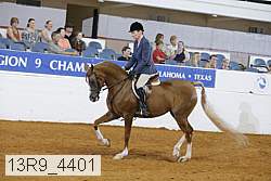 13r9_4401 proof