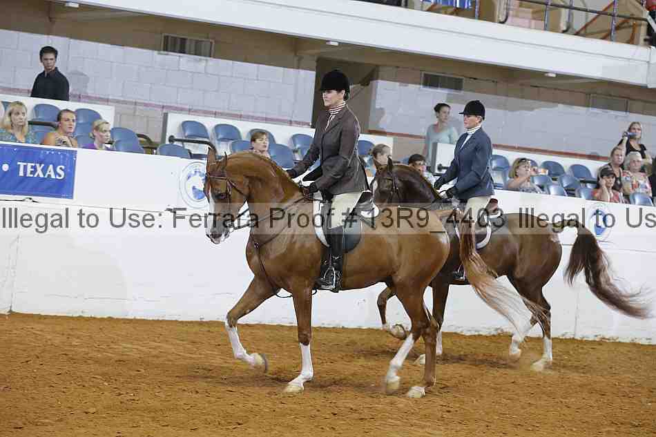 Proof 13r9_4403
