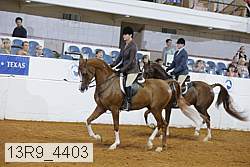 13r9_4403 proof