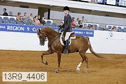 13r9_4406 proof