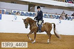 13r9_4408 proof