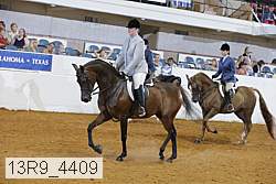 13r9_4409 proof