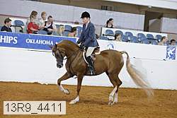 13r9_4411 proof
