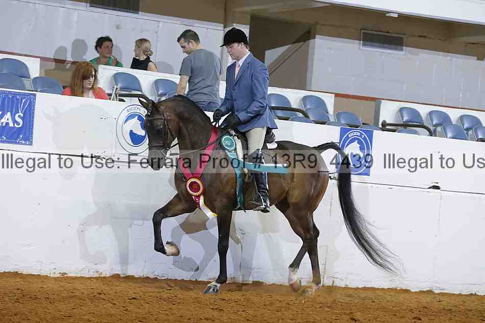 Proof 13r9_4439