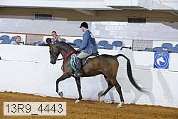 13r9_4443 proof