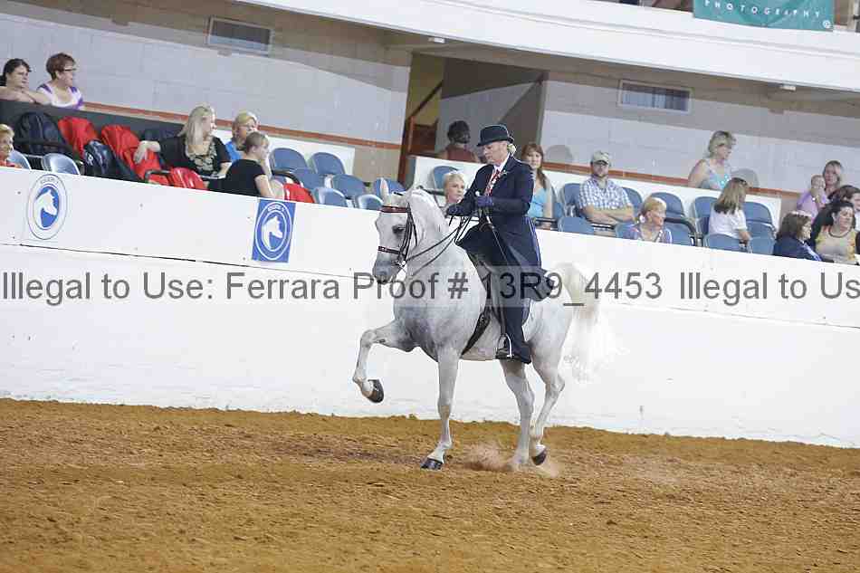 Proof 13r9_4453