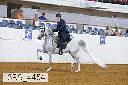 13r9_4454 proof