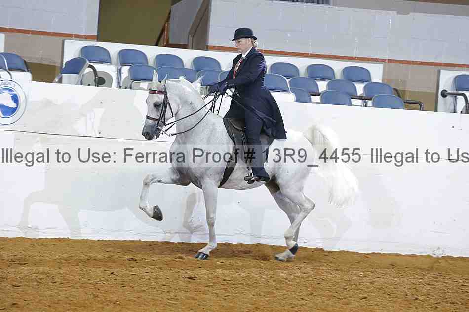 Proof 13r9_4455