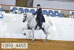 13r9_4455 proof
