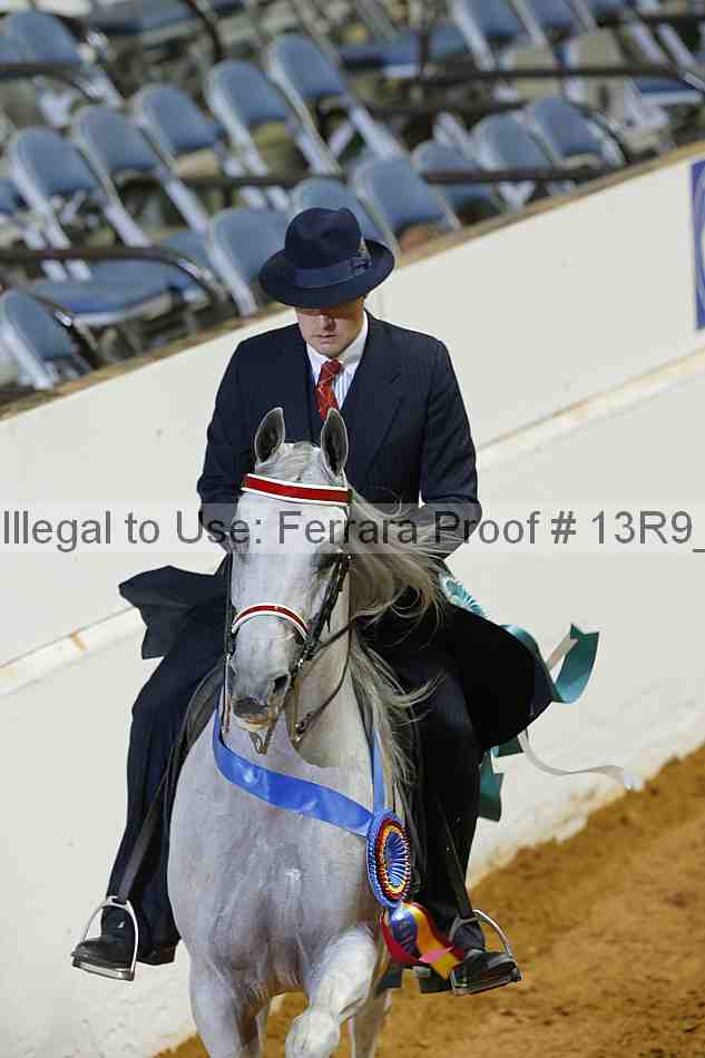 Proof 13r9_4461