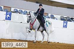 13r9_4462 proof