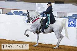 13r9_4465 proof