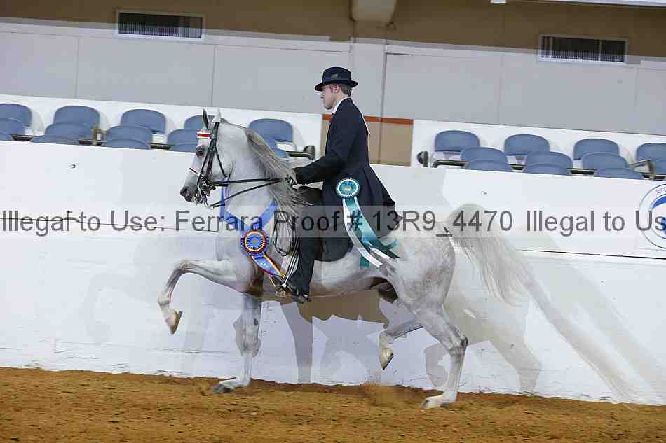 Proof 13r9_4470