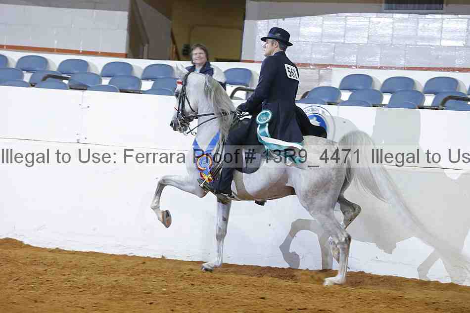 Proof 13r9_4471