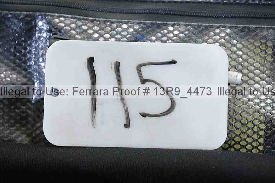 Proof 13r9_4473