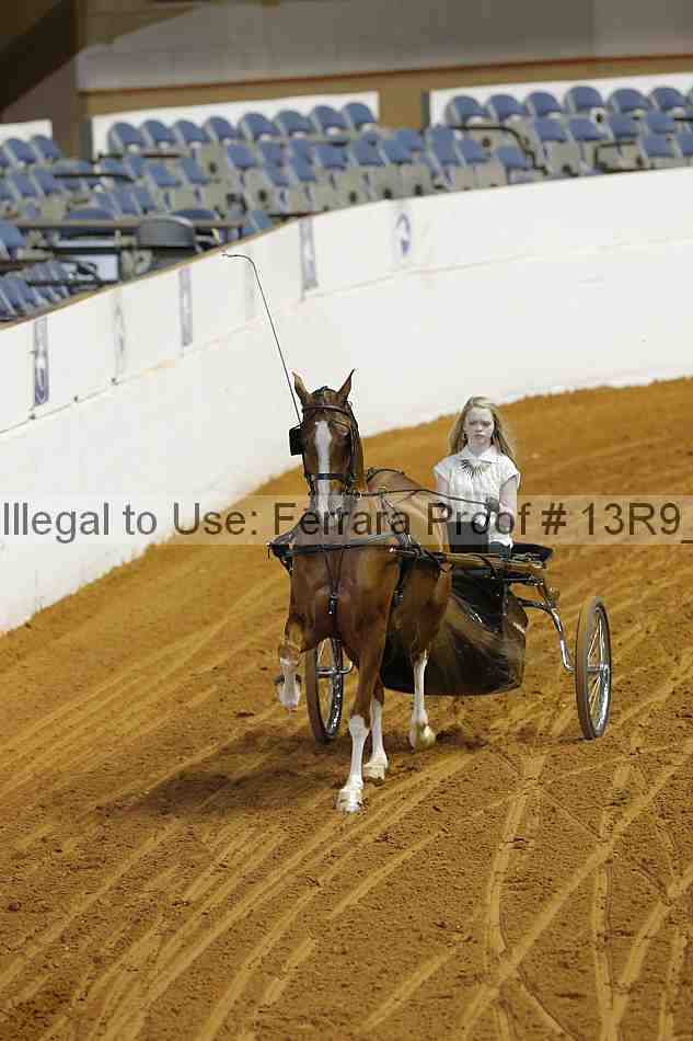 Proof 13r9_4493