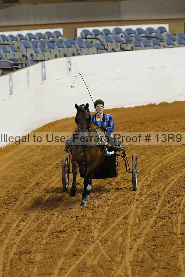 Proof 13r9_4499