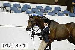 13r9_4520 proof