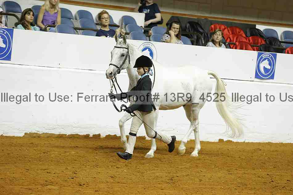 Proof 13r9_4525