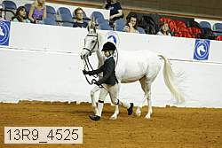 13r9_4525 proof