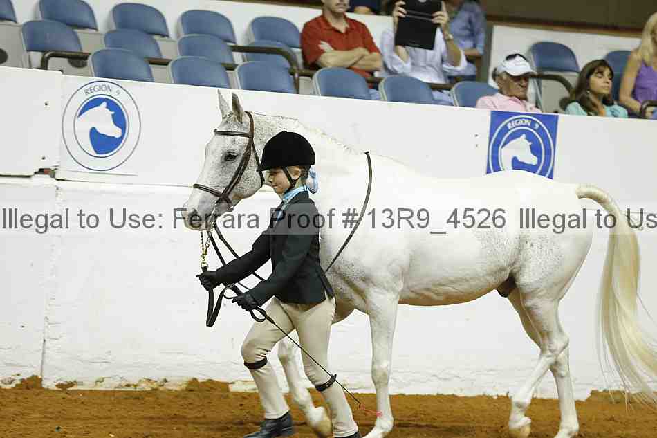Proof 13r9_4526
