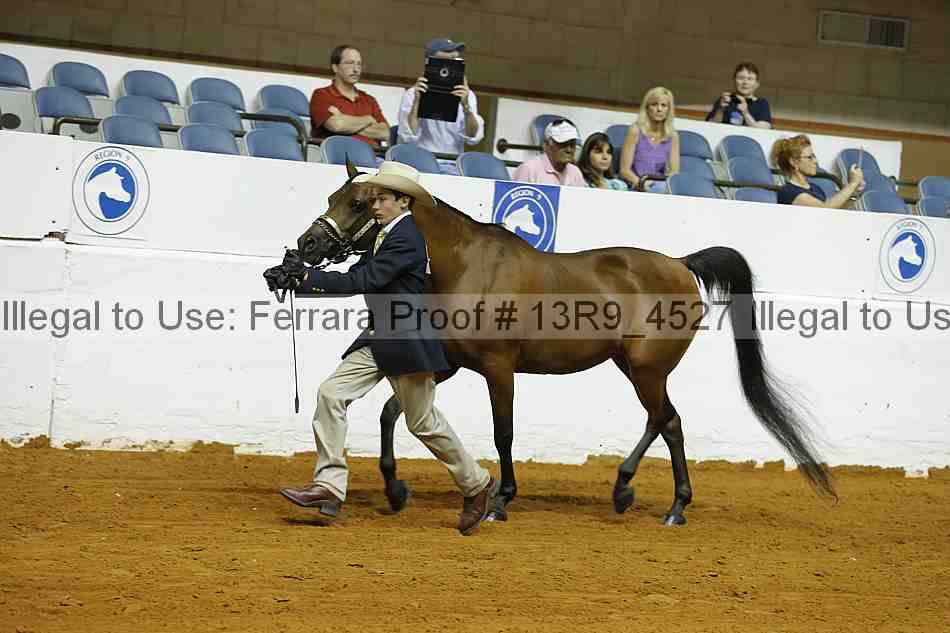 Proof 13r9_4527