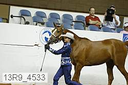 13r9_4533 proof