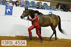 13r9_4534 proof