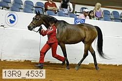 13r9_4535 proof