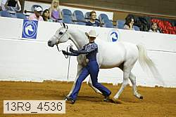 13r9_4536 proof