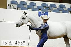 13r9_4538 proof