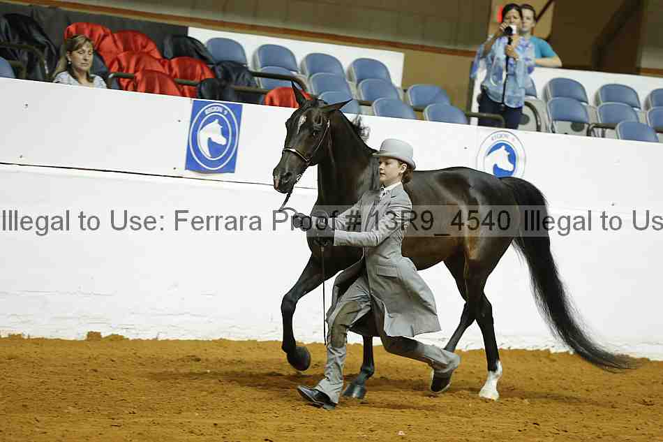 Proof 13r9_4540