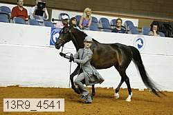 13r9_4541 proof